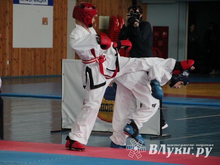 В Великих Луках состоялся Чемпионат и первенство Псковской области по тхэквондо МФТ (ФОТО)