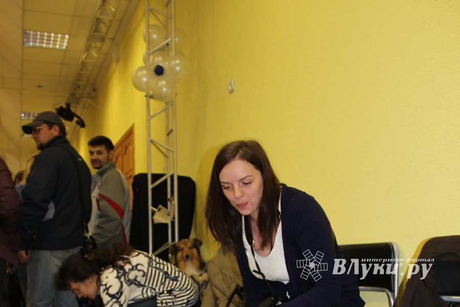 Всероссийская выставка собак в Великих Луках (фото)