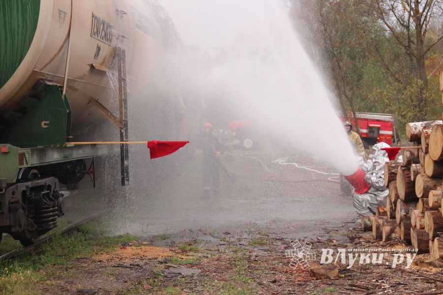 В Великих Луках тушили поезд (ФОТО)