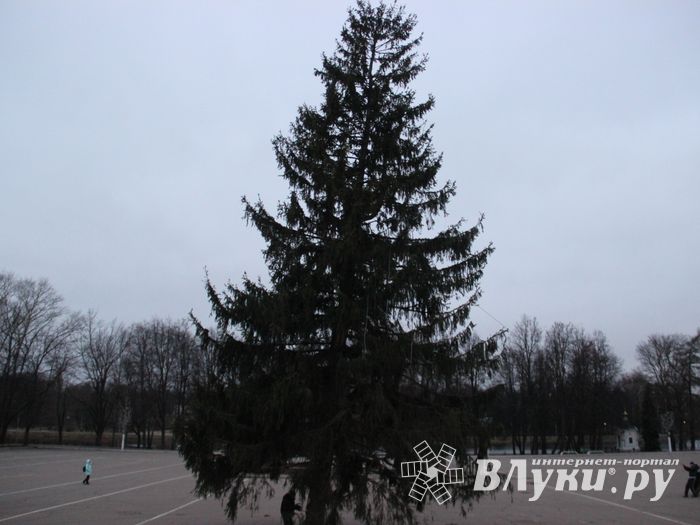 Необычное украшение сняли с главной ёлки Великих Лук (ФОТО)