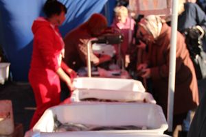 Торговая ярмарка «Осень-2016» прошла в Великих Луках (ФОТО)