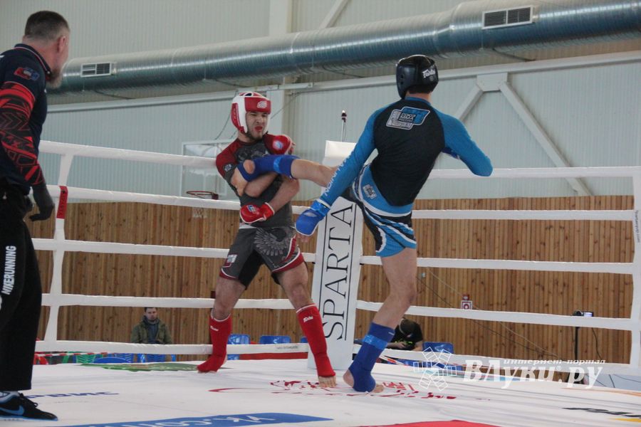 В Великих Луках завершилось Первенство России среди юношей по смешанному боевому единоборству ММА (ФОТО)