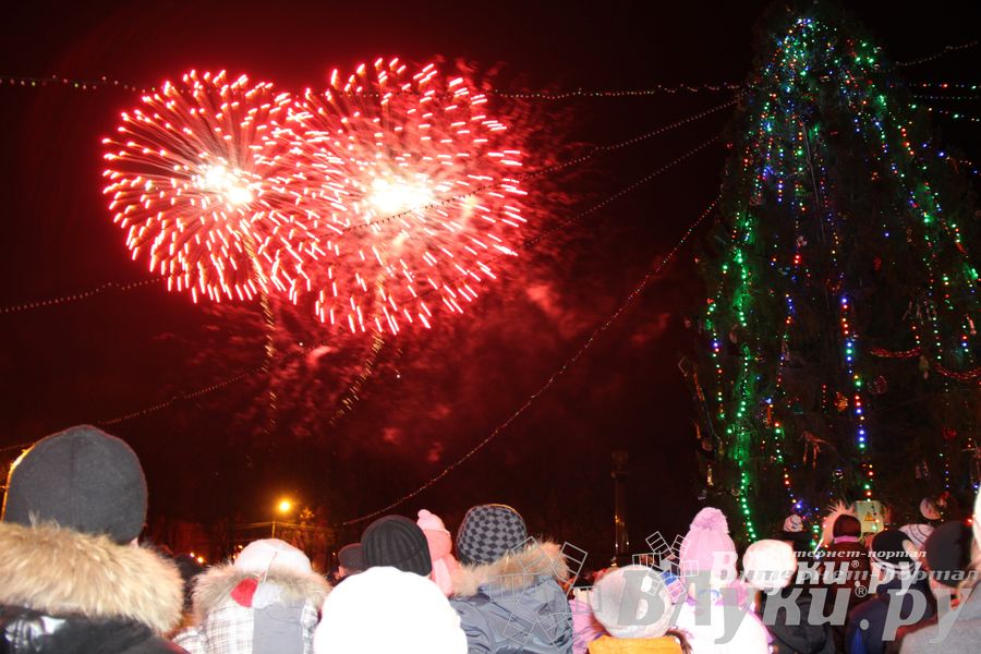 Праздник городской новогодней елки