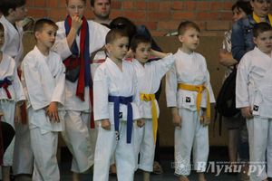 Великолучане стали победителями турнира по каратэ «Неприкосновенный запас, дети — Отчизны 2015» (фото)