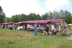 Праздник поэзии