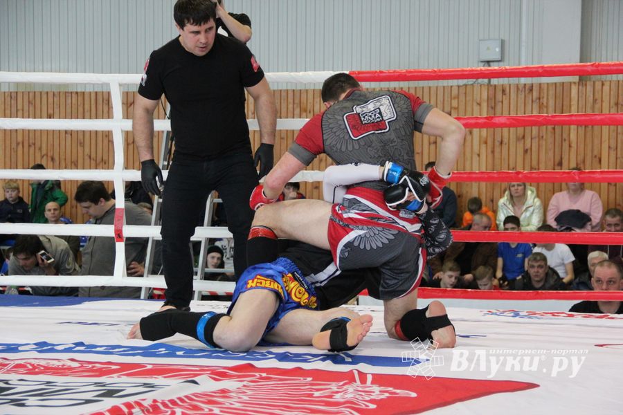 Открытый кубок по смешанному боевому единоборству ММА прошел в Великих Луках (ФОТО)