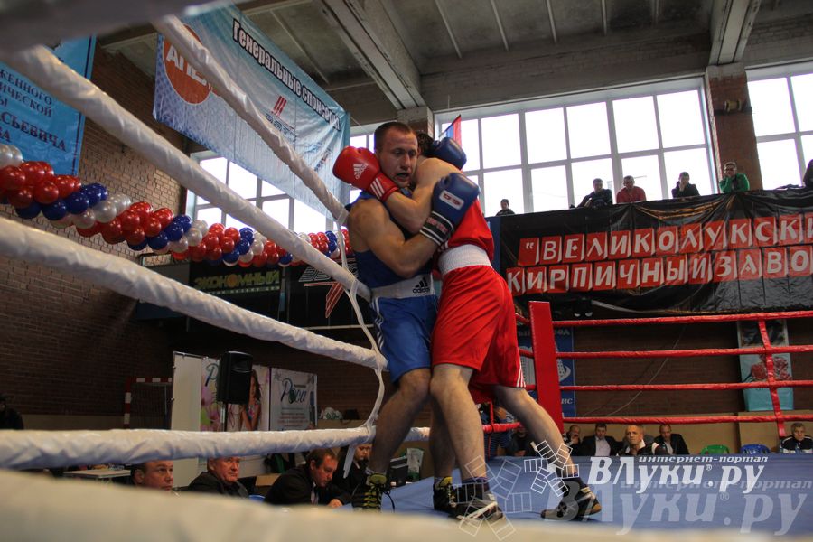 16-й Международный турнир по боксу (фото)