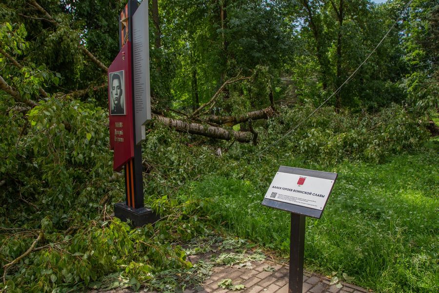 Небезразличные великолучане помогают убрать город после урагана (ФОТО)