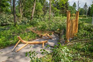 Небезразличные великолучане помогают убрать город после урагана (ФОТО)