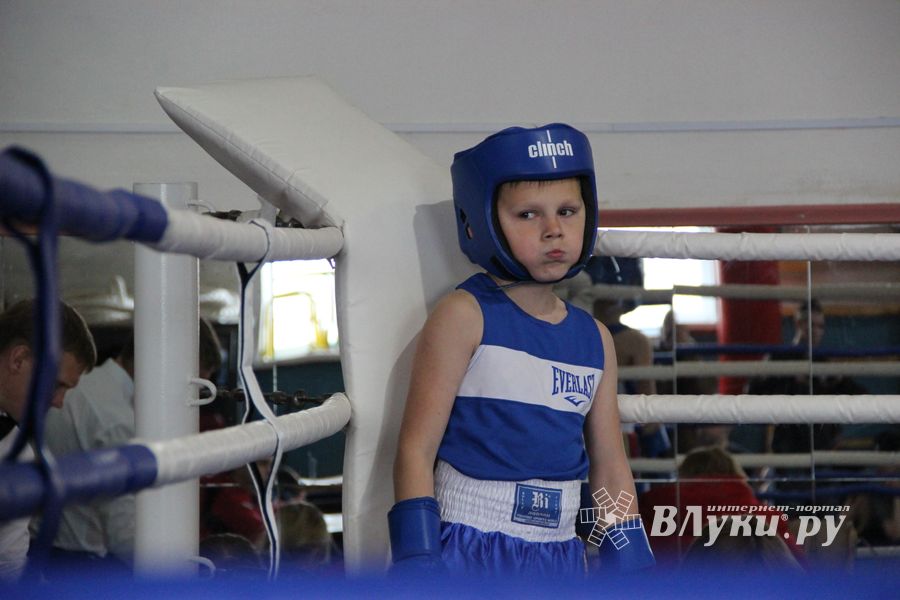 Юные великолучане выявили сильнейших боксёров (ФОТО)