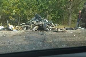 На трассе Великие Луки-Невель произошло ДТП (ФОТО)