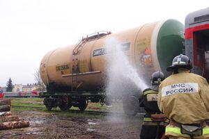 В Великих Луках тушили поезд (ФОТО)