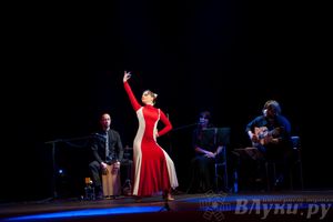 В великих Луках выступил московский коллектив фламенко