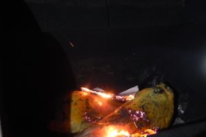 В Псковской области сожгли почти 17 кг хамона (ФОТО)