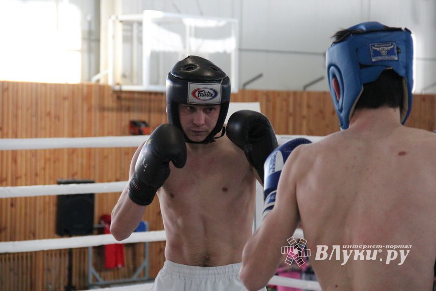 В Великих Луках прошел Кубок области по кикбоксингу (ФОТО)