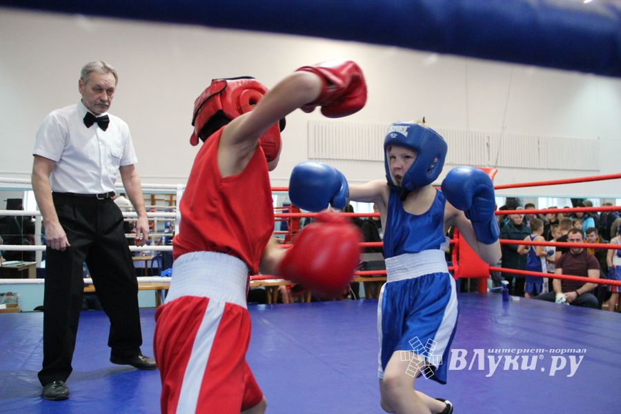 В Великих Луках завершились соревнования по боксу (ФОТО)
