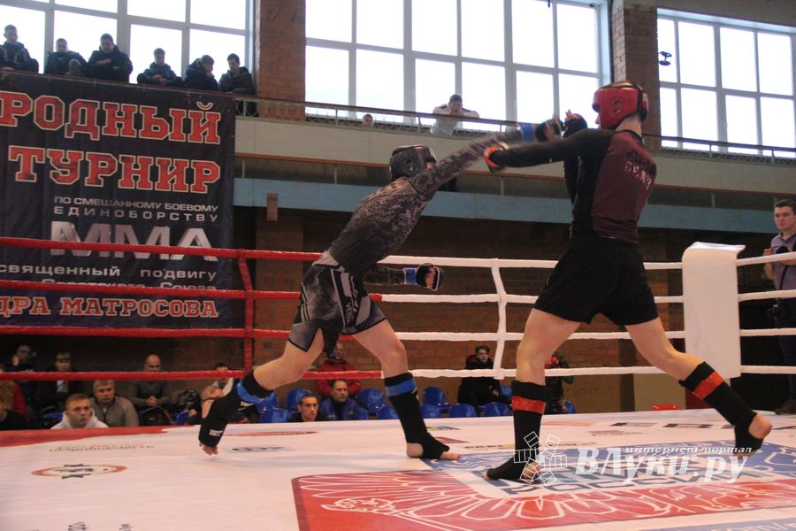 В Великих Луках прошел международный открытый Кубок по смешанному боевому единоборству (ФОТО) (16+)