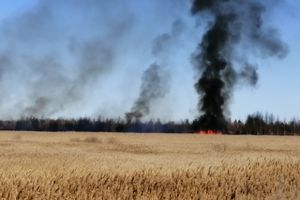 Великолукский район полыхает (ФОТО; ВИДЕО)
