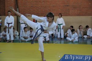 Турнир по каратэ