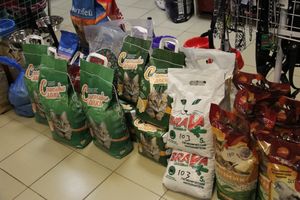 «Zooбастики»: подарите праздник своим любимцам! (ФОТО+ВИДЕО)