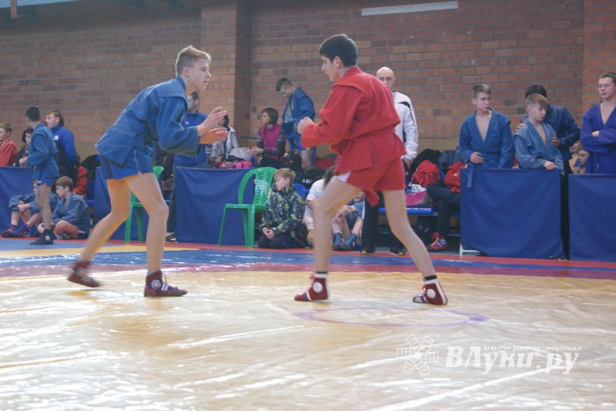 Великолучане завоевали призовые места на турнире по самбо «Память» (ФОТО)