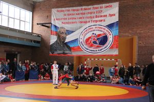 Великолукские самбисты завоевали 45 медалей на открытом первенстве города (ФОТО)