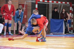 В Великих Луках прошли соревнования по самбо (ФОТО)