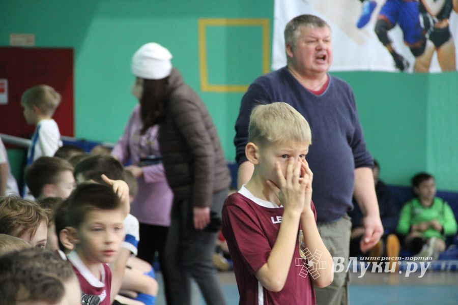 Кубок «Дружбы» уехал из Великих Лук в Лихославль