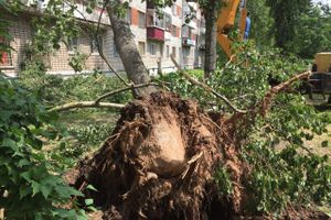 Небезразличные великолучане помогают убрать город после урагана (ФОТО)