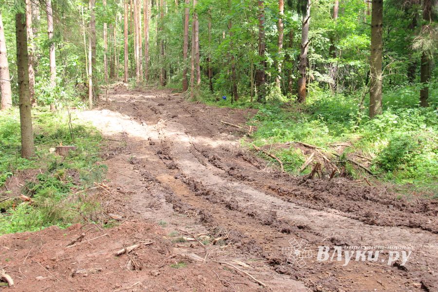 Строительство велоцентра в Великих Луках: склад, спортплощадки, велодорожки и земляника (ФОТО)