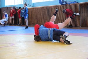 Лично-командное Первенство Псковской области по самбо