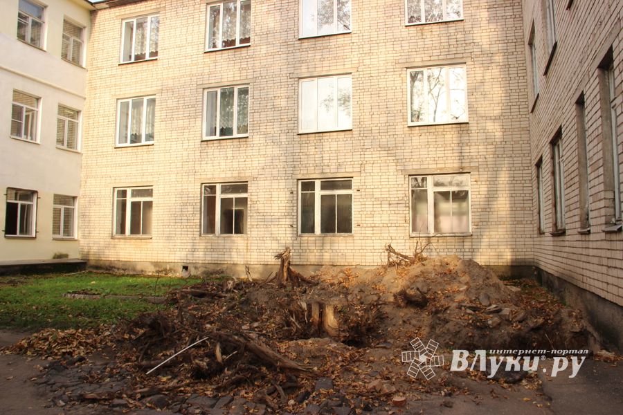 Детская поликлиника Великих Лук развернётся (ФОТО)