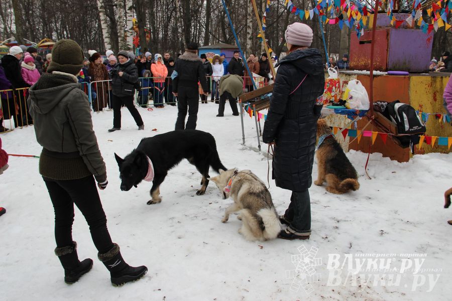 В Великих Луках состоялись проводы Широкой Масленицы — 2015 (фото)