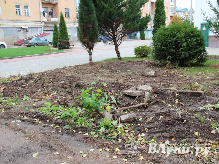 Куда исчезли пихты у Свято-Вознесенского собора в Великих Луках