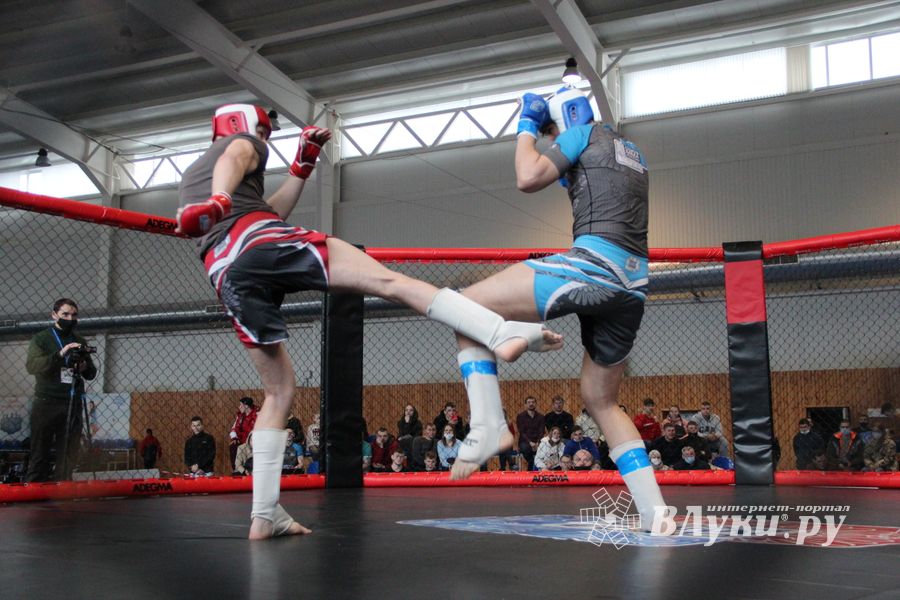 В Великих Луках прошел кубок по смешанному боевому единоборству (ФОТО)