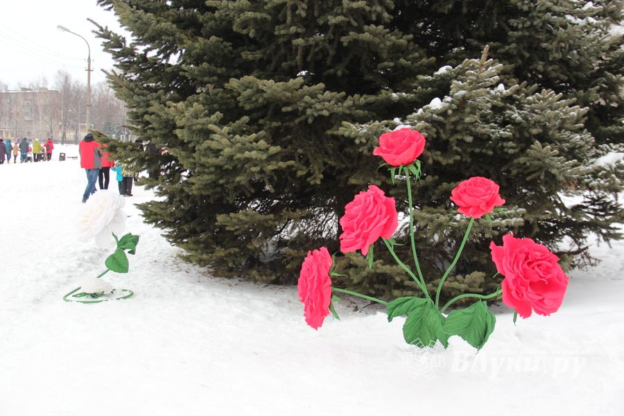 Фотофакт: на набережной Великих Лук распустились цветы