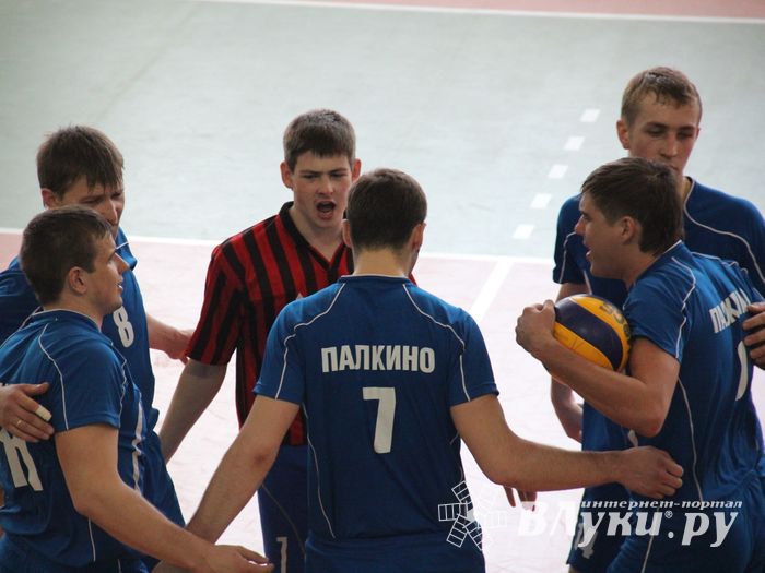 Финал чемпионата области по волейболу