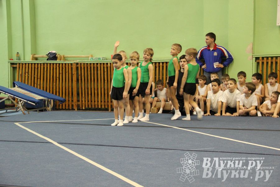 В Великих Луках состоялось Первенство по командной гимнастике (фото)