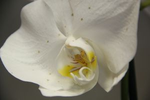 Конкурс «Мимо тёщиного дома...» нашел победителя (ФОТО)