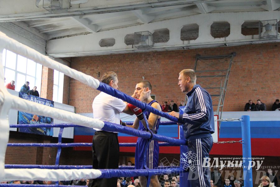 16-й Международный турнир по боксу (фото)