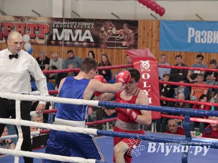 Матчевая встреча по боксу Великие Луки —Псков — Грозный (ФОТО)