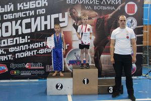 В Великих Луках проходит Кубок по кикбоксингу (ФОТО) (0+)