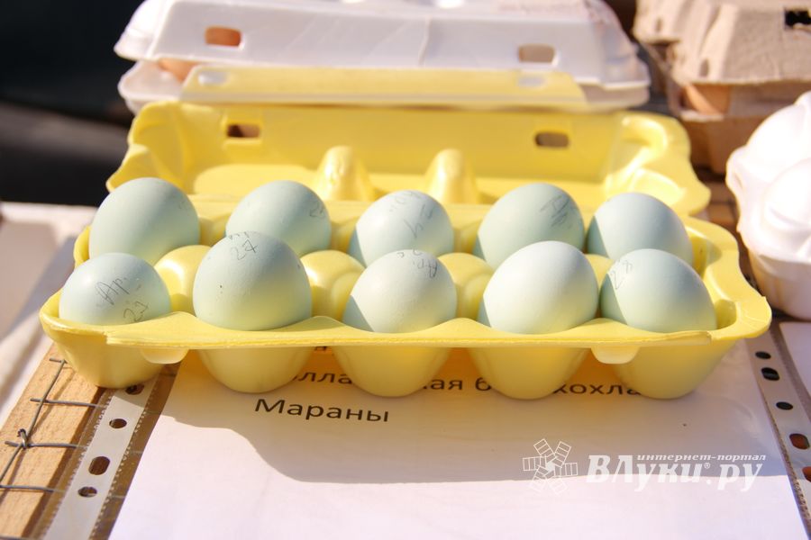 СТЦ «СтройСам» порадовал великолучан на универсальной ярмарке «Весна-2018» (ФОТО)