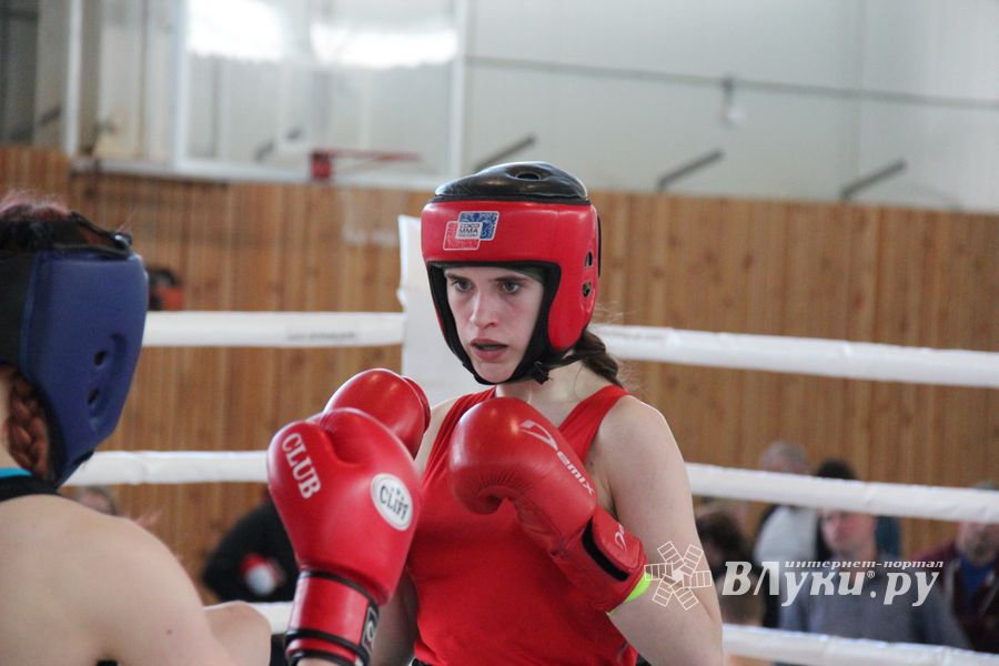 В Великих Луках прошел Кубок области по кикбоксингу (ФОТО)