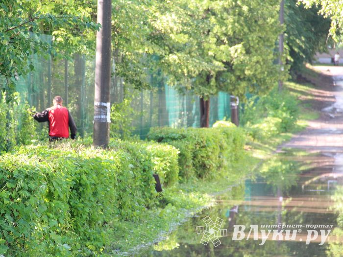 И плывем, и плаваем – Великие Луки после ливня (ФОТО)