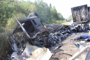 Фото: Псковское агентство информации