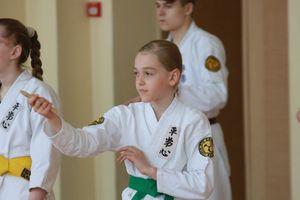 Ученики школы Дзюшин-рю кэмпо каратэ постигали искусство кобудзюцу (ФОТО)