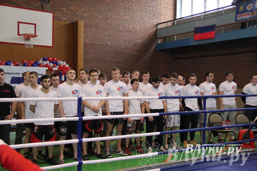 В Великих Луках прошел межрегиональный Открытый Кубок по смешанному боевому единоборству (фото)