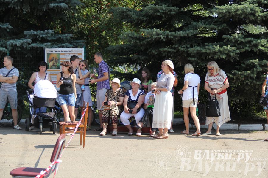В Великих Луках отметили День физкультурника