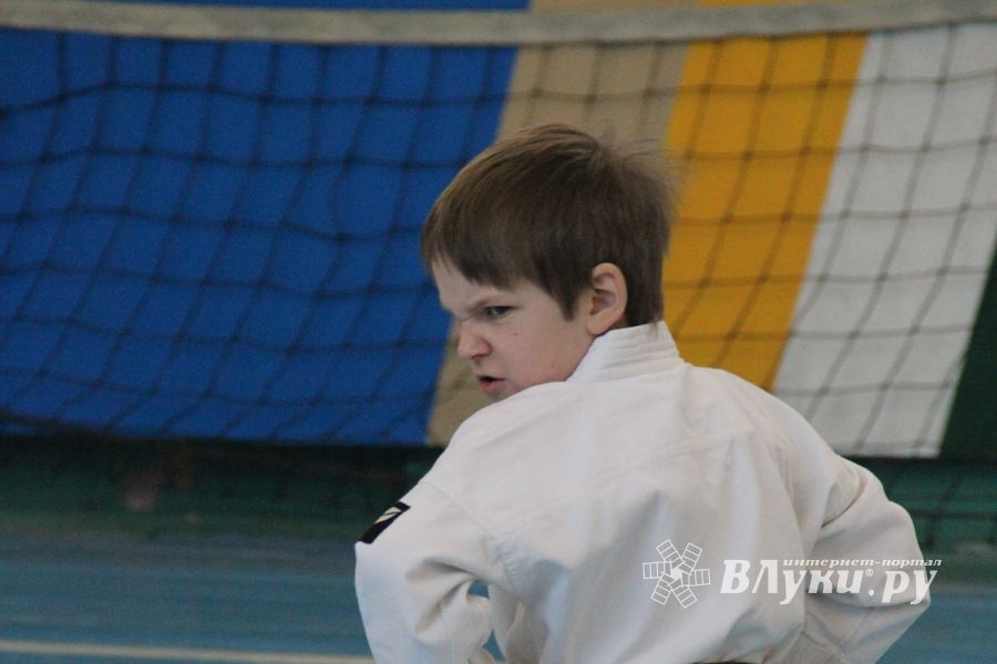 В Великих Луках прошел Открытый чемпионат Псковской области по каратэ